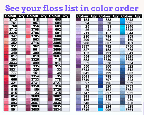 DMC Floss Mini Book: Colour Order