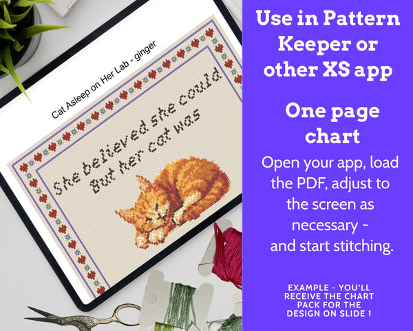 She Believed She Could But Her Cat Was Asleep Cross Stitch Pattern PDF (Ginger Cat)