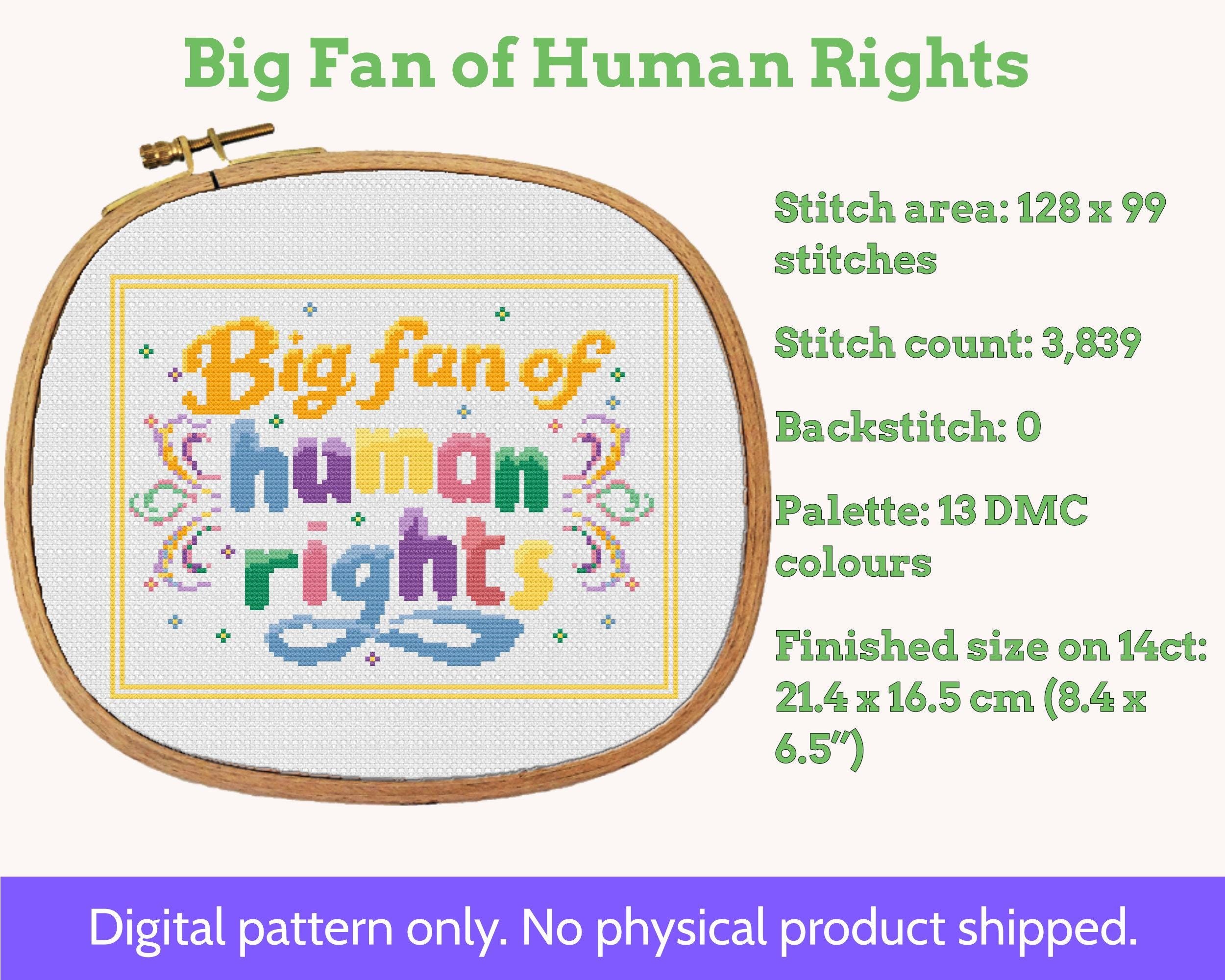 Big Fan of Human Rights Cross Stitch Pattern PDF Secondary image