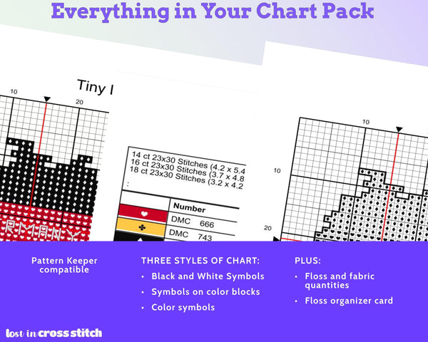 Kyrgyzstan Cross Stitch Pattern: Mini Flag Map