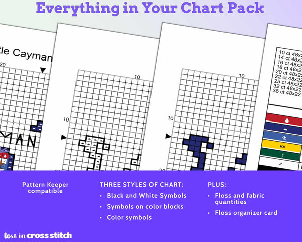 Cayman Islands Cross Stitch Pattern: Mini Flag Map