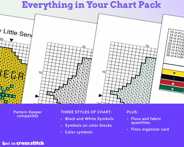 Senegal Cross Stitch Pattern: Mini Flag Map